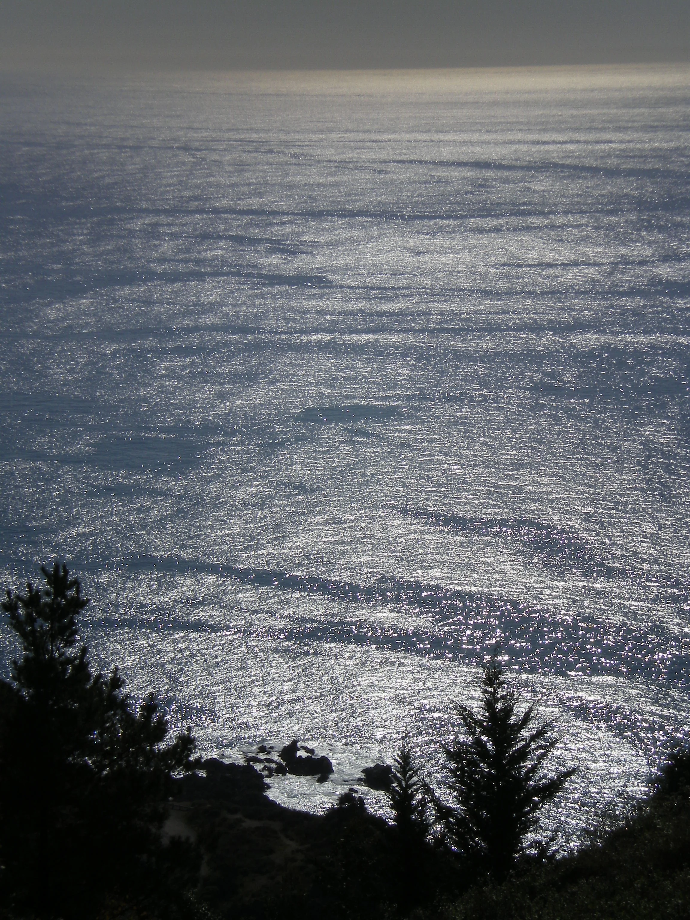 Coastal Mountain Residence Civil Site Work